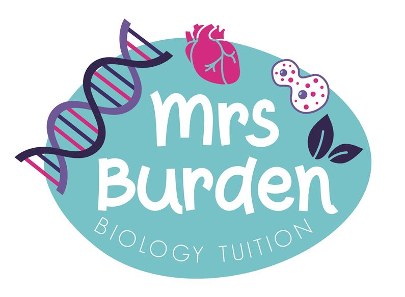 Online Chemistry Tutor